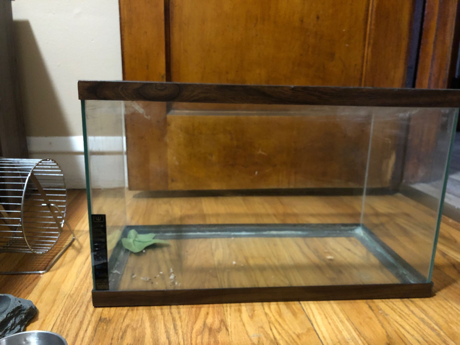 10 gallon tank with screen