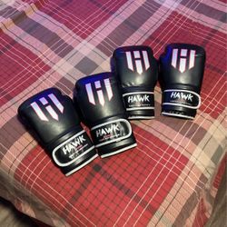 Two Pairs of Boxing Gloves 