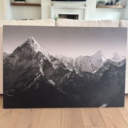 Snow Picks Canvas picture 