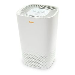 Crane Air Purifier with True HEPA Filter – Quiet, Compact, and Powerful Air Cleaning for Home $19.99