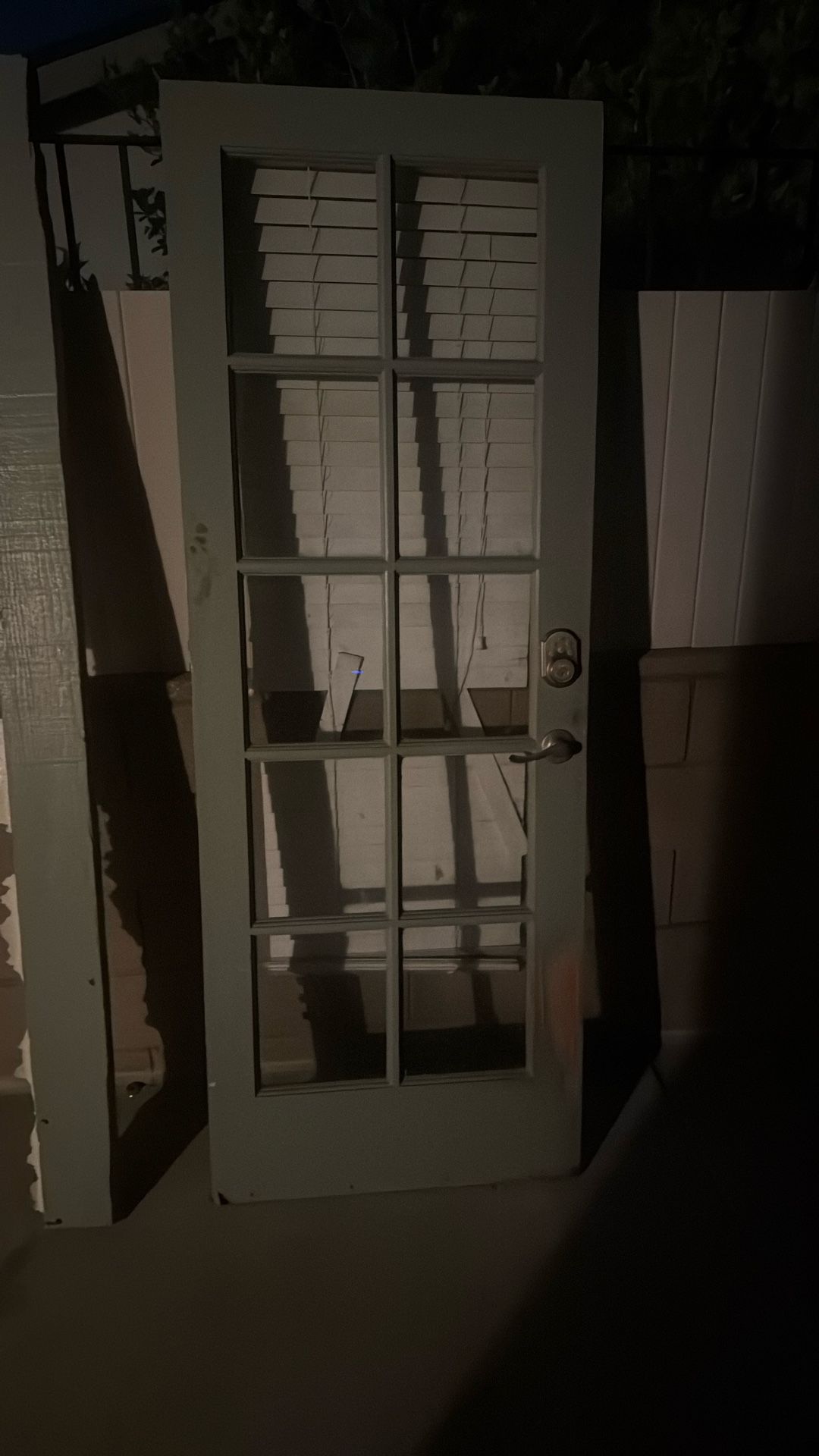 French Door Size 30x80