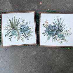 Green Succulent Frame