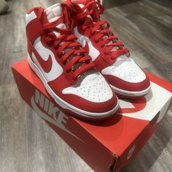 Nike Dunk High