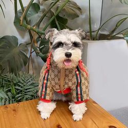 Designer Dog Jacket