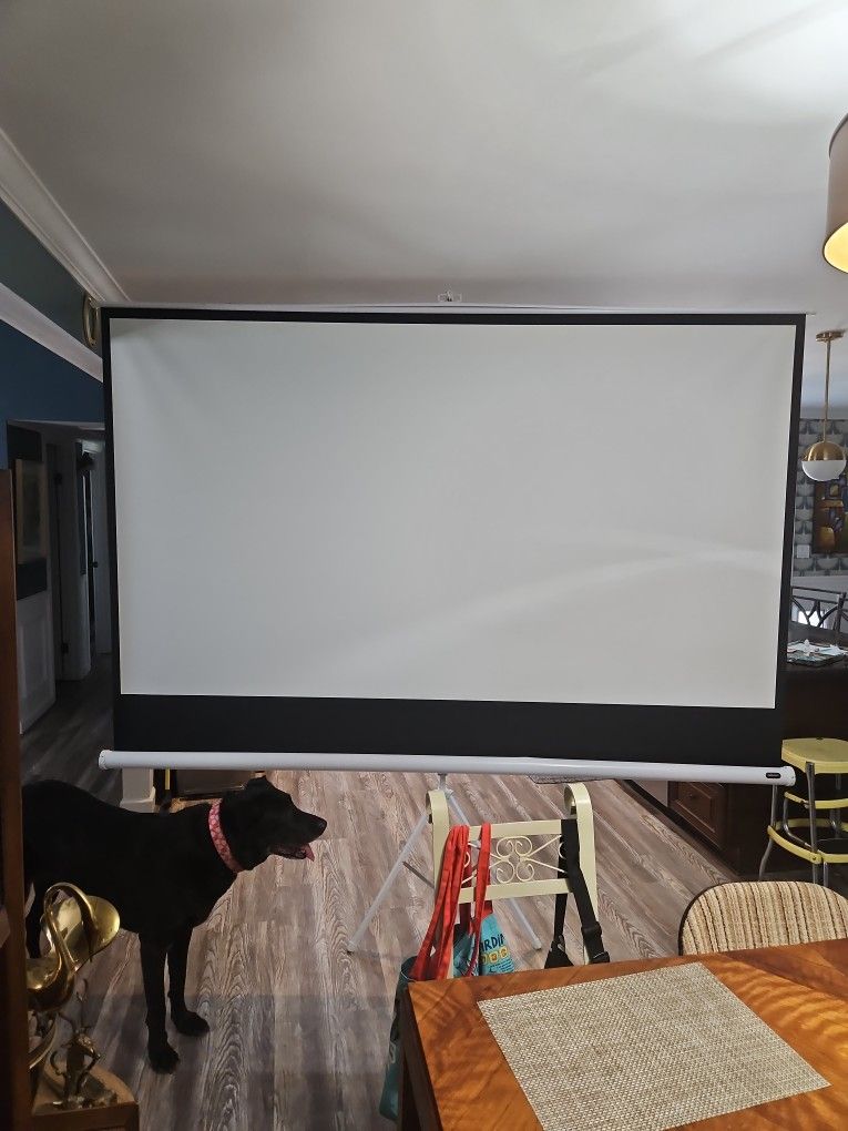 Projector Screen