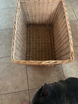 Wicked Big Basket