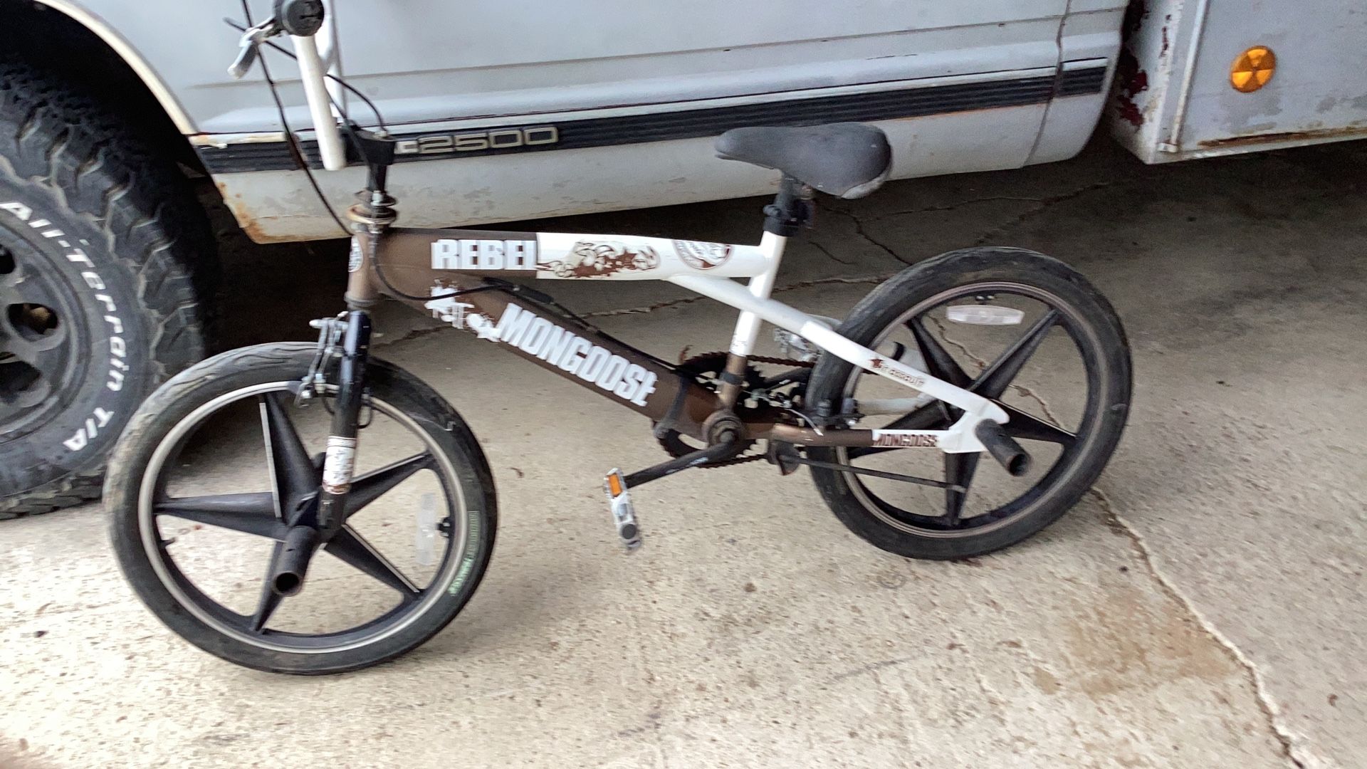 rebel mongoose