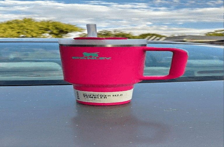 Show Your Personality with Stanley Cups in Many Design Options body those