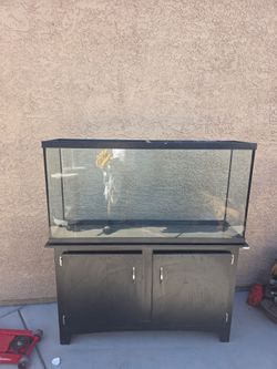 60 gallon aquarium tank. Fish or reptile.