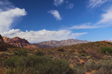 A Scenic View Of Spring Mountain Ranch State Park 