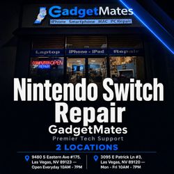 Nintendo Switch LCD Replacement