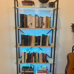 Bookshelf With Adjustable Lighting 