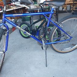 20-in Bike Mountain Bike