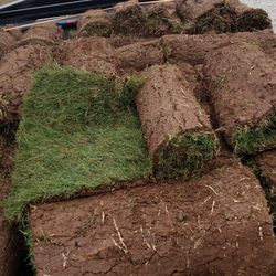 Grass Sod For Sale
