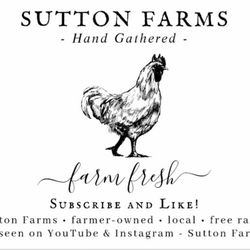 Farm Fresh Eggs - Pick Up Only