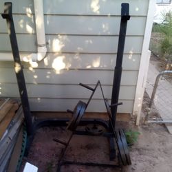 Weight Bench 