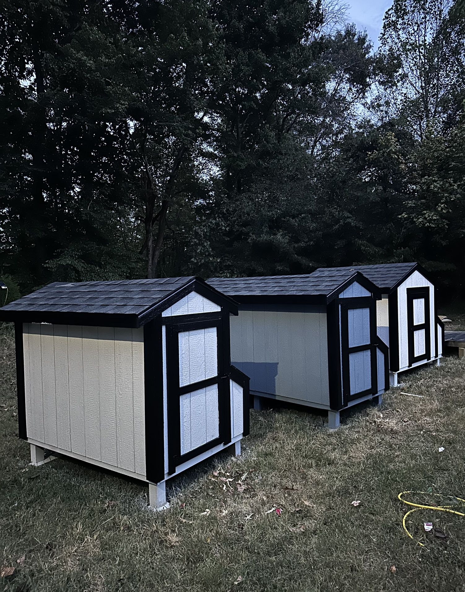 Chicken Coop