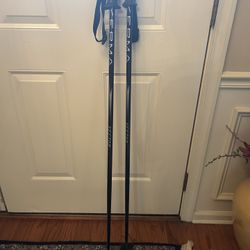 ERMA Ski Poles
