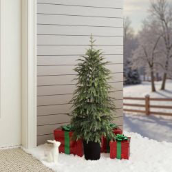 Green Branches Christmas Fir Tree with Potted,4Ft ,AP2618-4FT