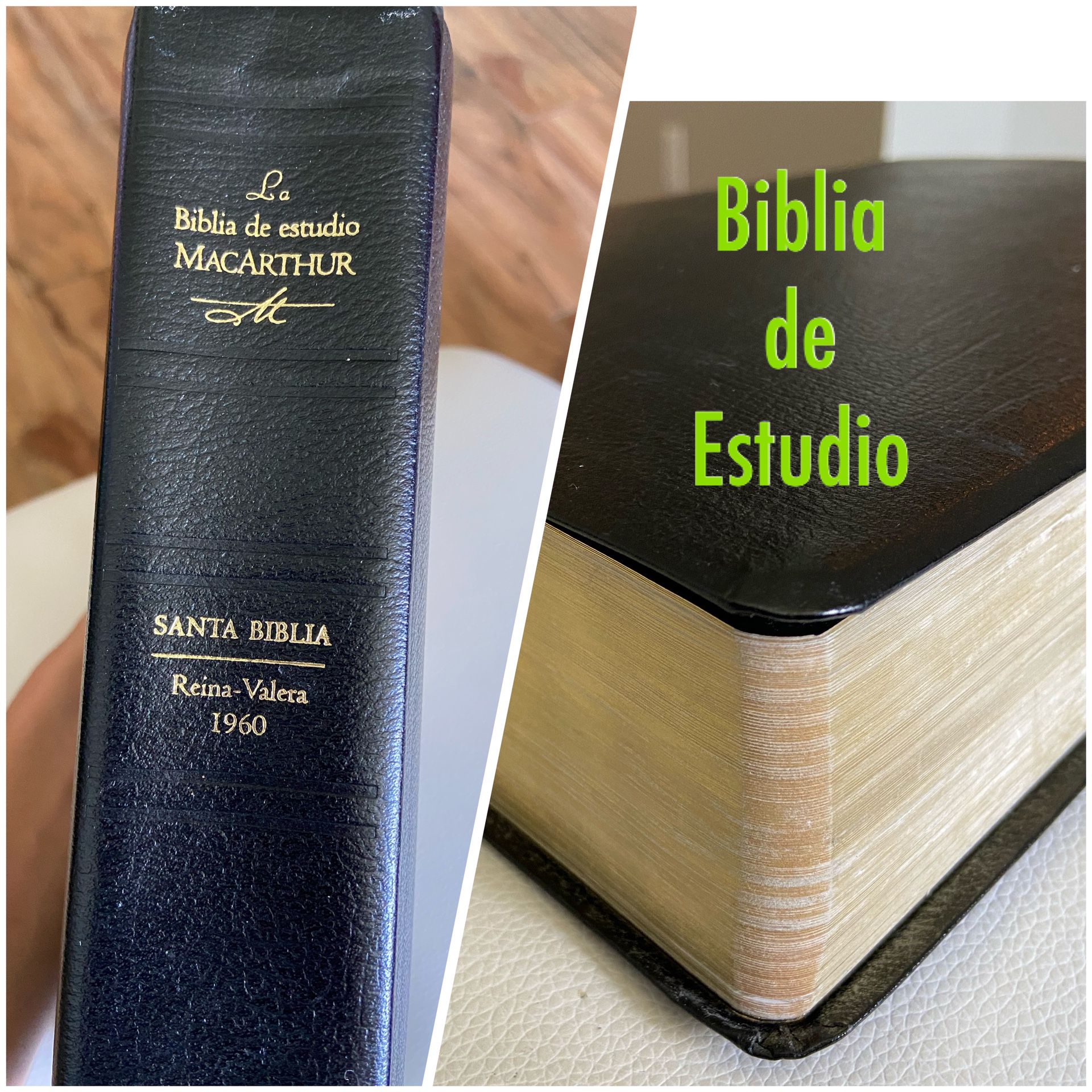 Biblia de estudio Reina Valera 1960