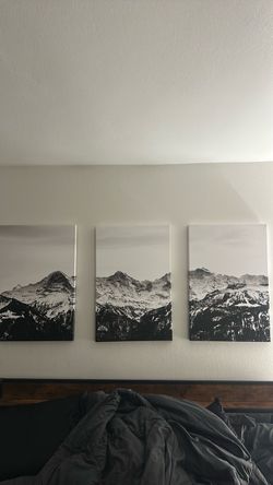Black and White Mountain Triptych Canvas Set