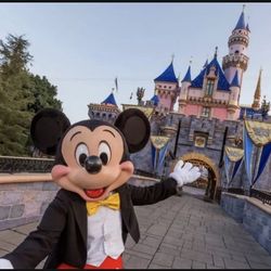 Disneyland  or Disney California adventure 