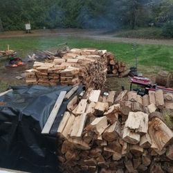 Fresh Cut And Split Firewood. Unseasoned for Sale in Gig Harbor, WA -  OfferUp