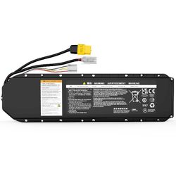 Ninebot 36V Replacement Battery