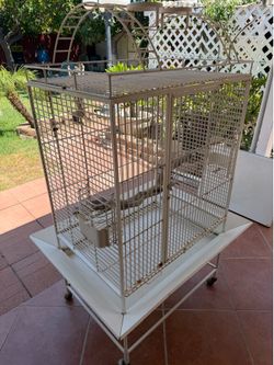Bird Cage