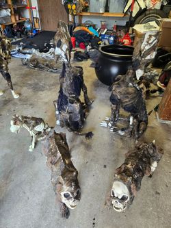 Halloween "corpsed" animals