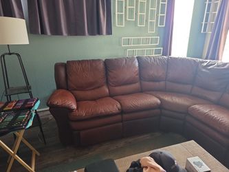 Leather couch (dogs friend)