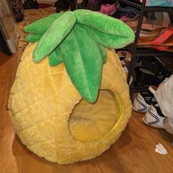 Pineapple Pet Bed Small  Thumbnail