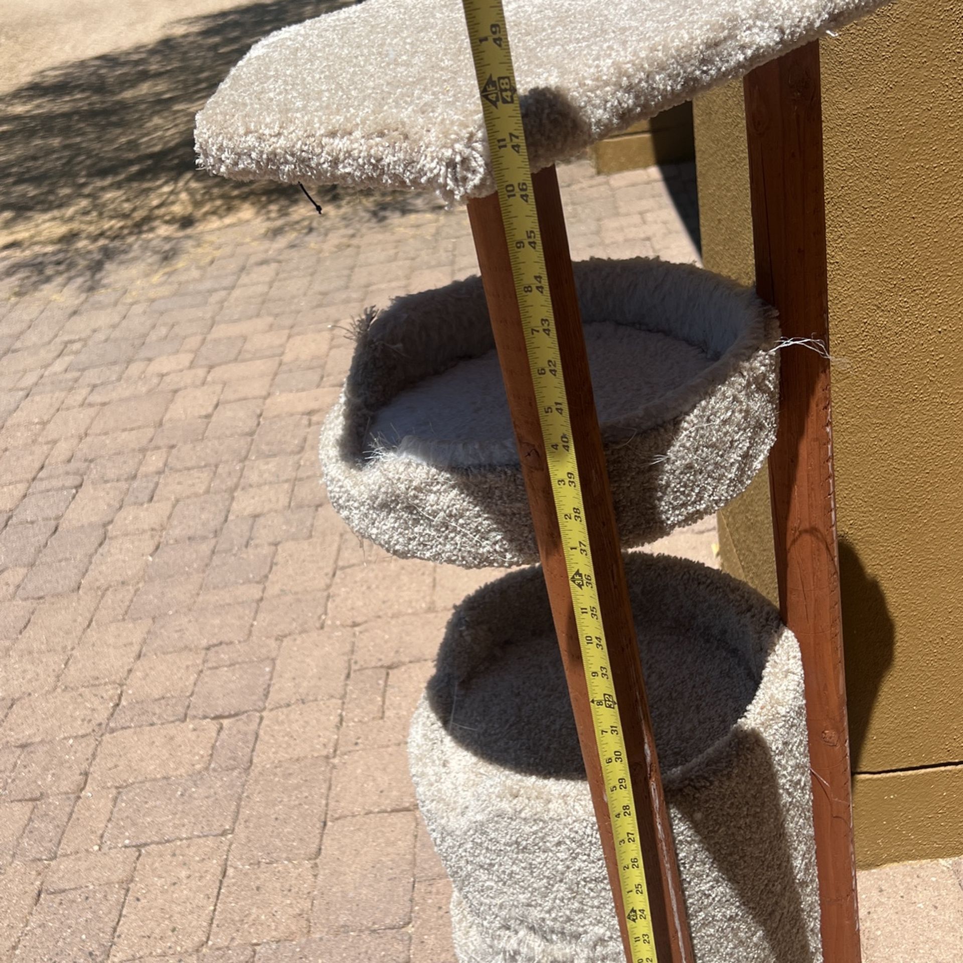 48” Condo Cat , Very Good Condition Nice And Clean