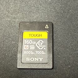 Sony CEA-G160T 160GB compact flash card CFexpress Type A Memory Card (CEAG160T)