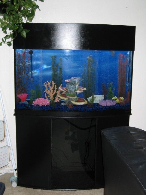 90 Gallon Oceanic Bow Front Fish Tank with Stand and Canopy