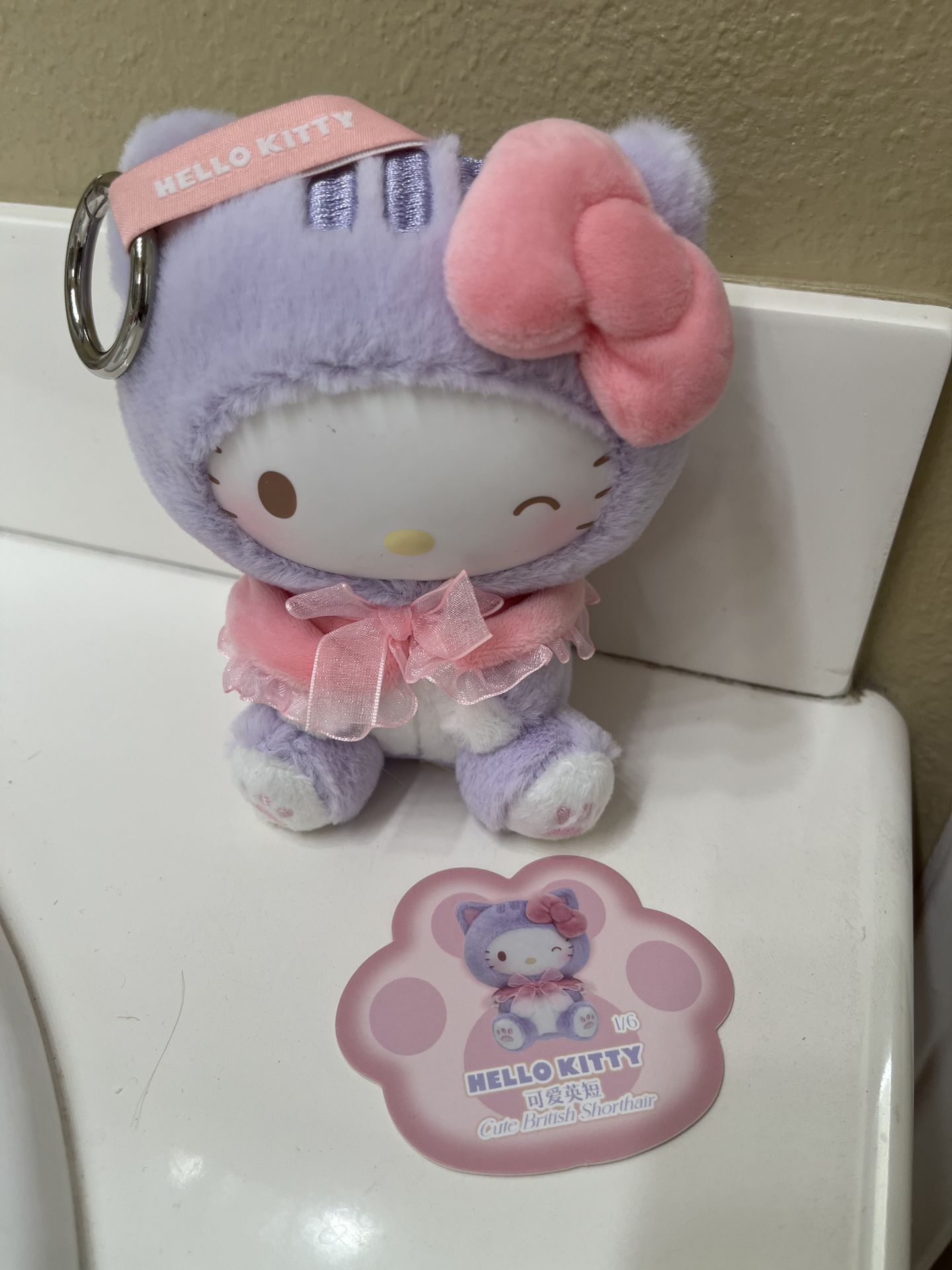 Hello Kitty hard face keychain with card