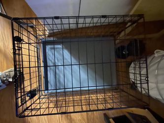 Doggy Cage From Pet Smart