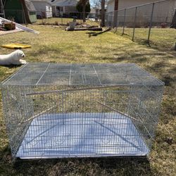 Birds Cage 