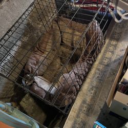 Dog Crate