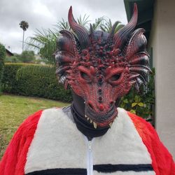 Dragon Costume 