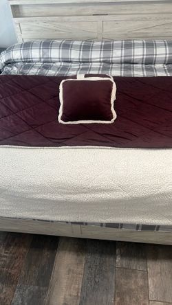 Comforter