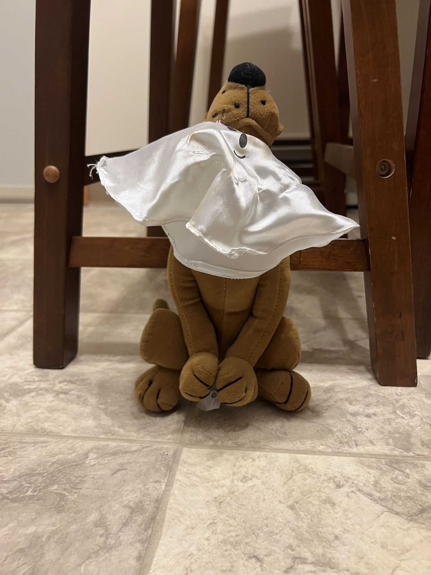 Scooby-Doo With Ghost Plush