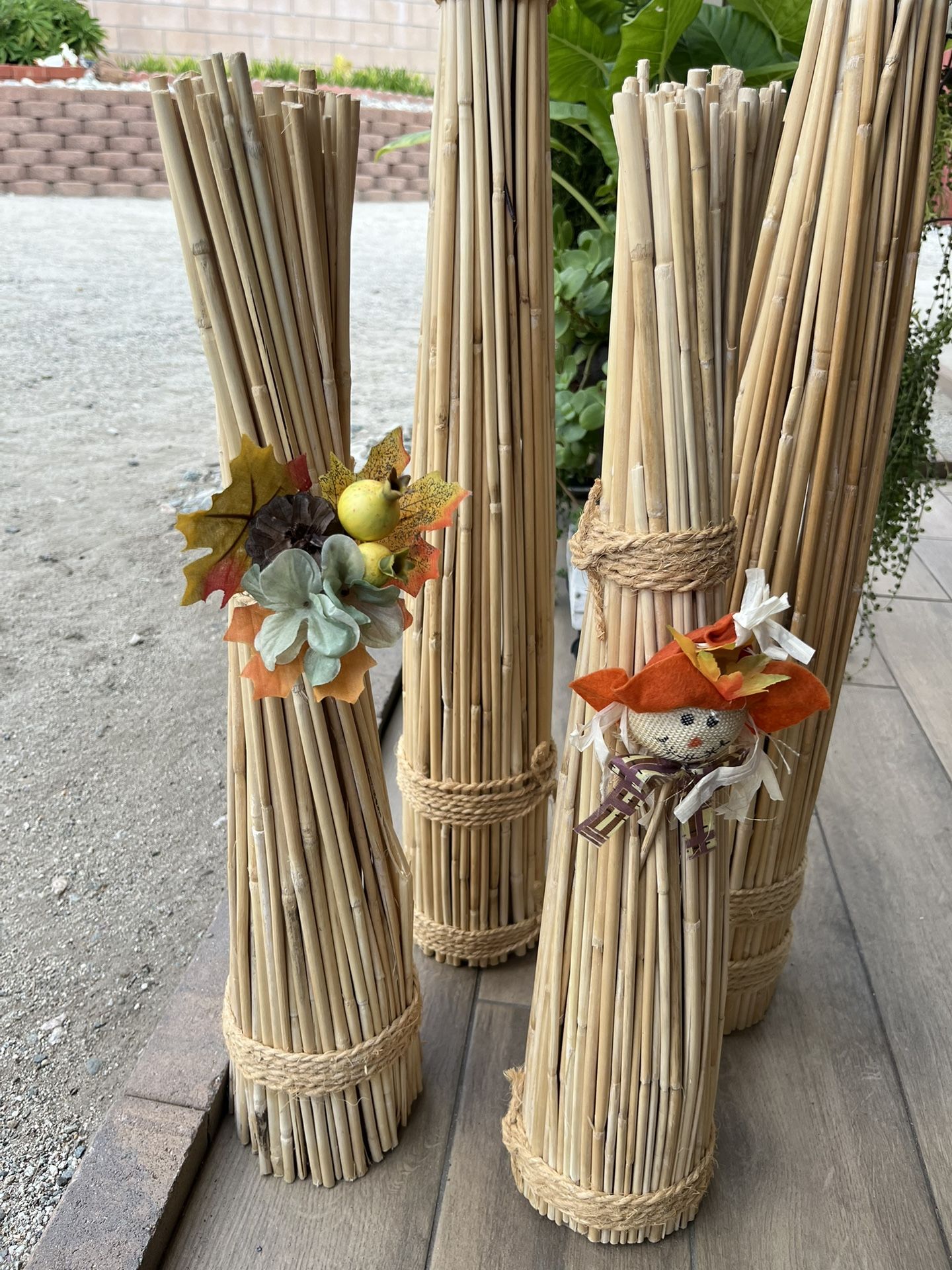 Beautiful ornaments. Dry Natural Reed Sticks.
