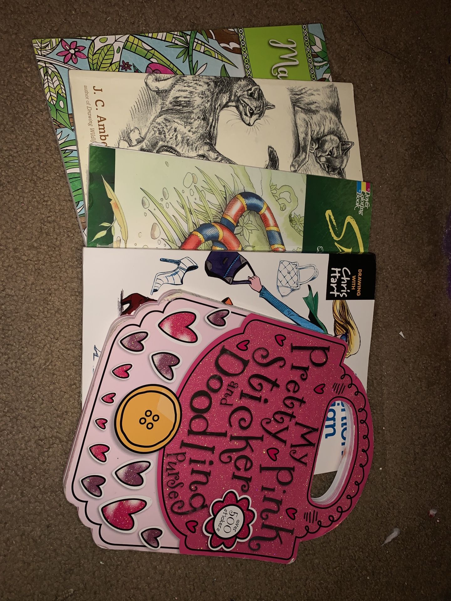 Coloring/learn To Draw Books 