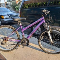 Girl's Mountain Bike 24" Bicycle Roadmaster Purple Rides Great 18 Speed Girls