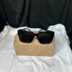 DIOR WILDIOR S2U Sunglasses