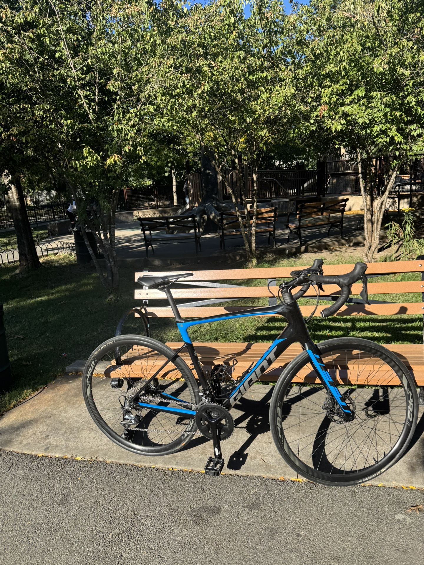Giant Defy Advanced 1 – Medium – Ultegra
