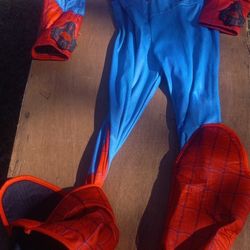Spiderman Halloween Costume 