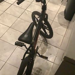 Mangoose Rebel 20 Inch Bike
