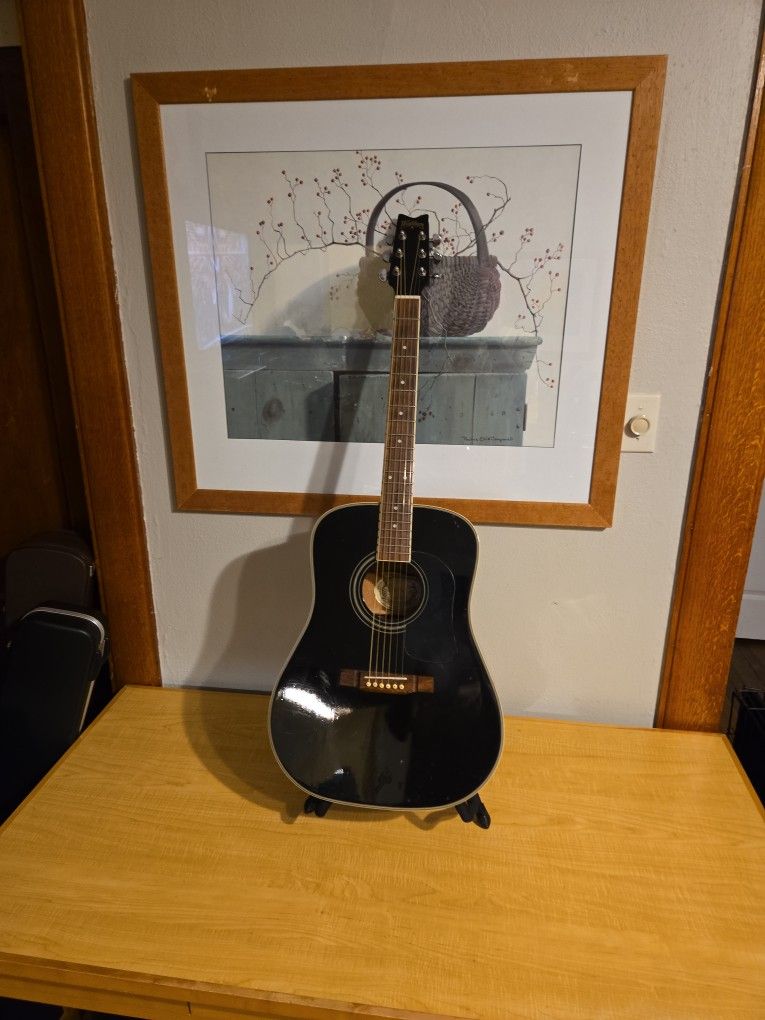 Washburn Six String Acoustic Ebony Color